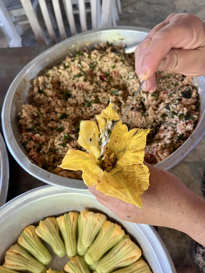 Kabak Çiçeği Dolması